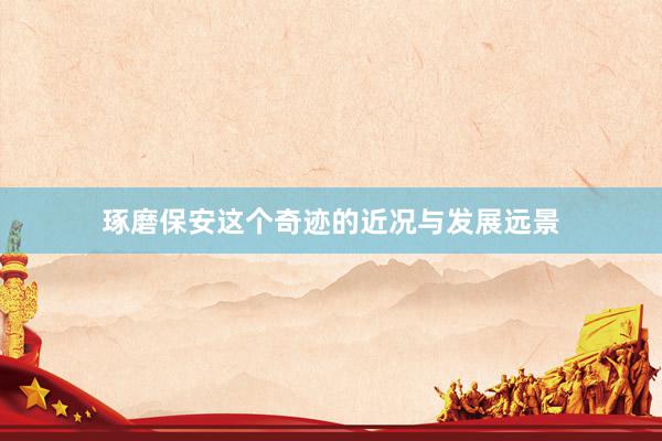 琢磨保安这个奇迹的近况与发展远景