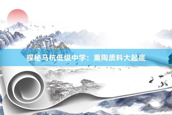 探秘马杭低级中学：熏陶质料大起底