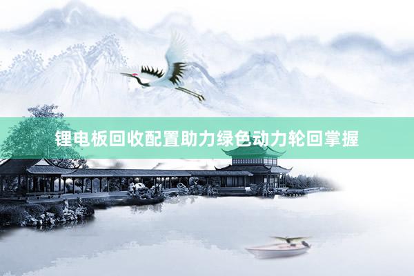 锂电板回收配置助力绿色动力轮回掌握