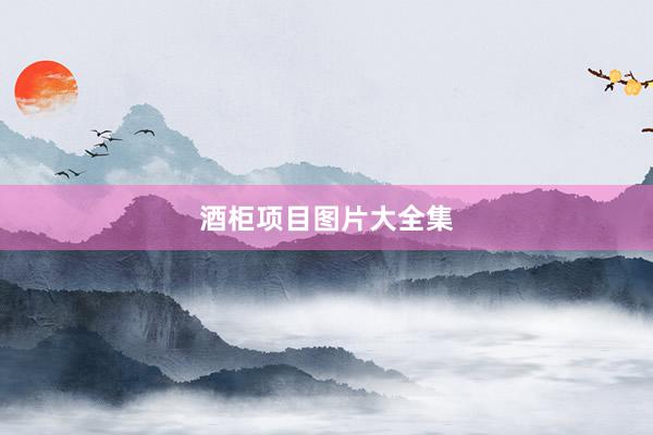 酒柜项目图片大全集
