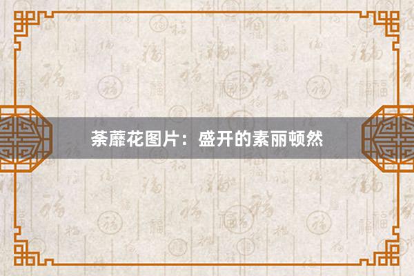 荼蘼花图片：盛开的素丽顿然
